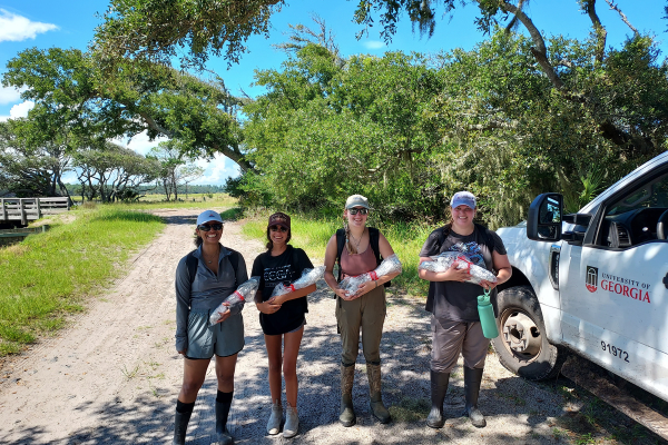 Sapelo Island