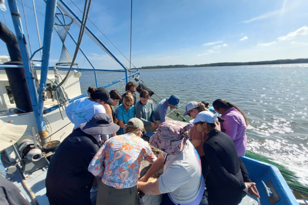 Sapelo Island