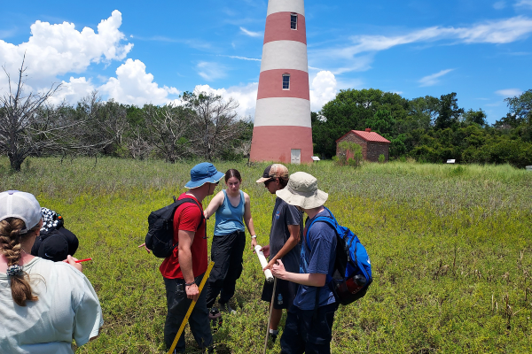 Sapelo Island